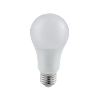 LED Bulbo A60